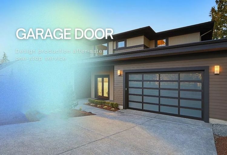 Aluminum glass see-through garage door.jpg